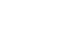 Carbones_andinos